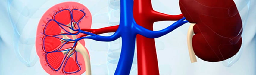 Urology