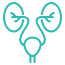 urology